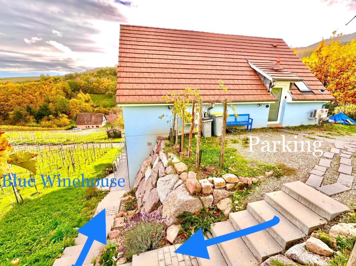 Apartament Janea Big Blue House Reichsfeld Zewnętrze zdjęcie