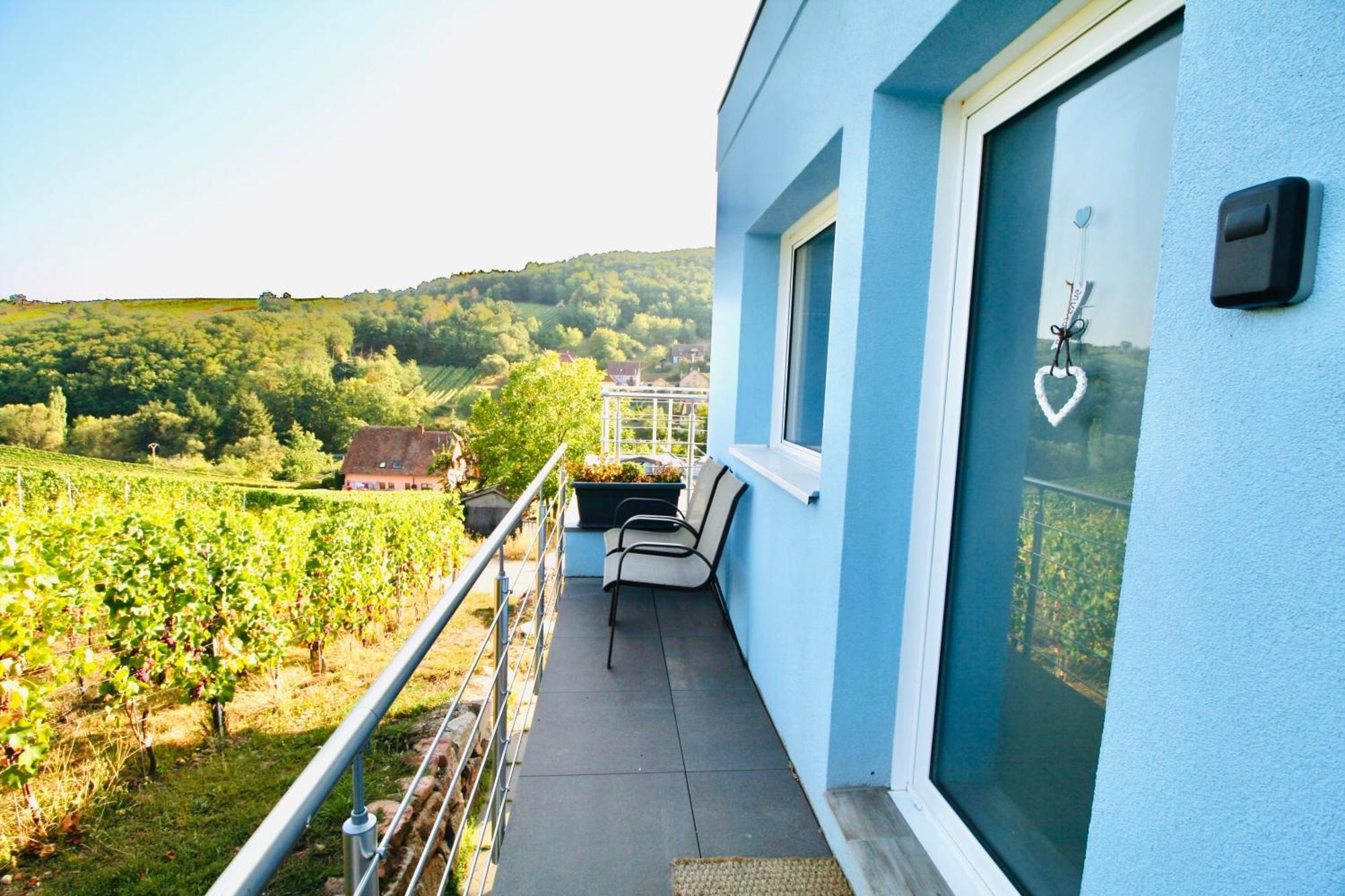 Apartament Janea Big Blue House Reichsfeld Zewnętrze zdjęcie