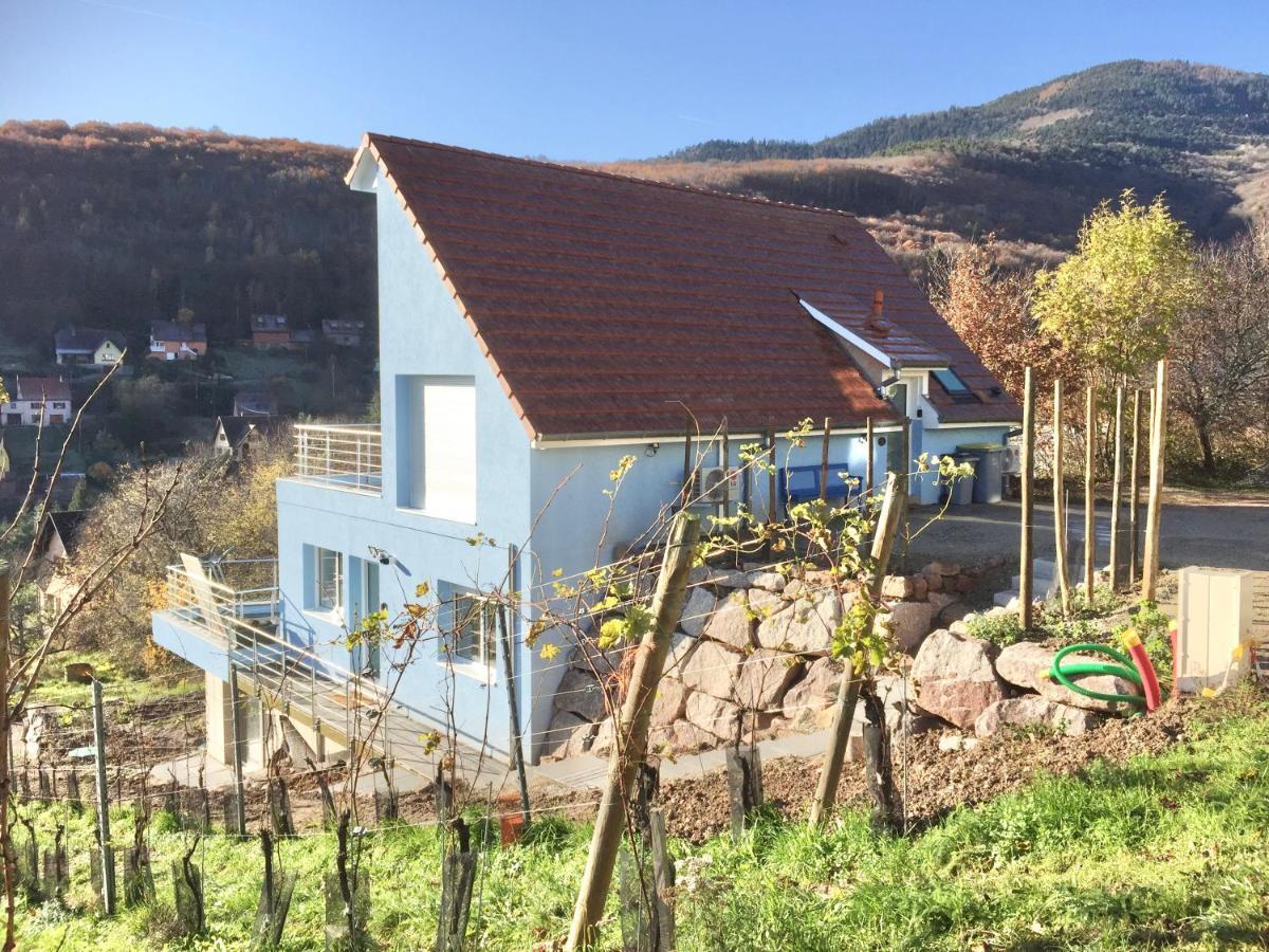 Apartament Janea Big Blue House Reichsfeld Zewnętrze zdjęcie